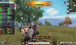 我就要吃鸡最新版本爆料,全新玩法与升级亮点抢先看
