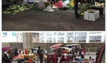 半山小镇爆料最新消息新闻,揭秘神秘事件背后的真相