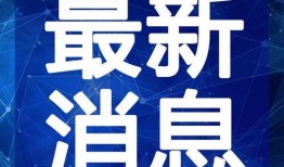 鳕鱼最新爆料新闻视频大全,揭秘视频大全背后的惊人真相